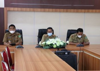 Kemendagri Briefing  Kepala Daerah  Dalam Pencegahan Tipikor