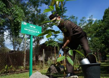 Kajati Sulsel Tanam Pohon di Pusat Pembibitan PT. Vale