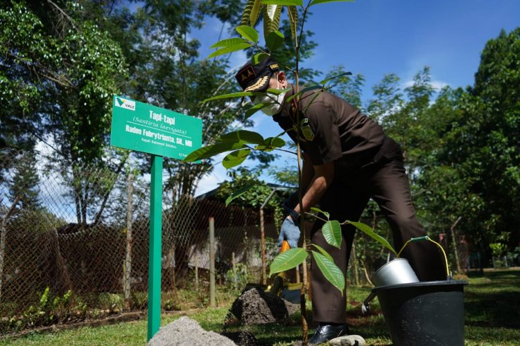 Kajati Sulsel Tanam Pohon di Pusat Pembibitan PT. Vale
