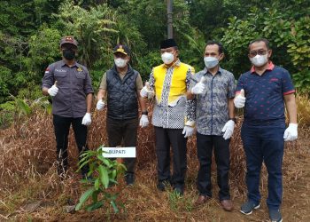 Foto : Forkopimda Lutim Tanam Pohon di Area Land Mark Malili