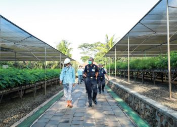 Kunker di Lutim, Kakanwil Bea Cukai  Kagumi Pengelolaan Lingkungan PT. Vale