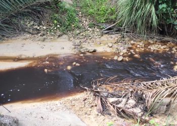 Penggiat Lingkungan  Desak  PT. MPA Benahi Tanggul Yang Jebol