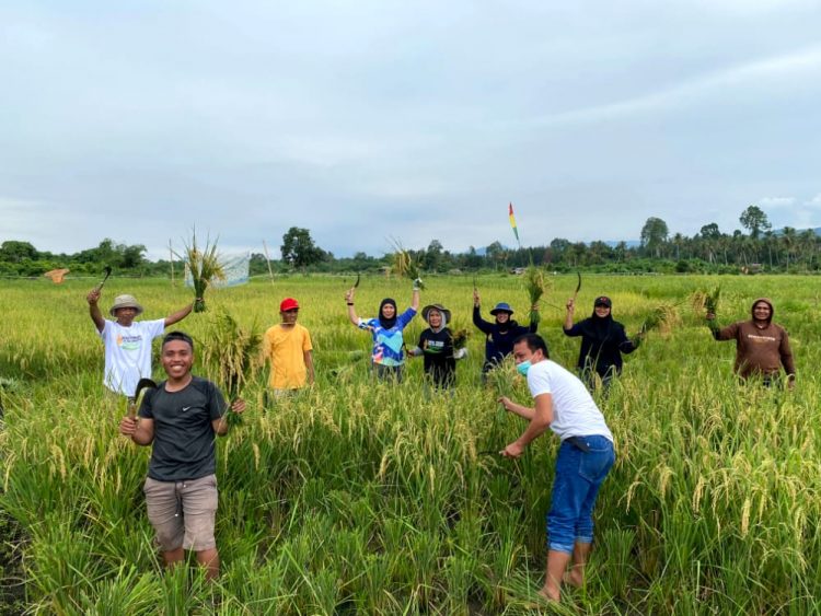 Cara  PT Vale Merawat Keberlanjutan Untuk Masa Depan  di Sektor Pertanian