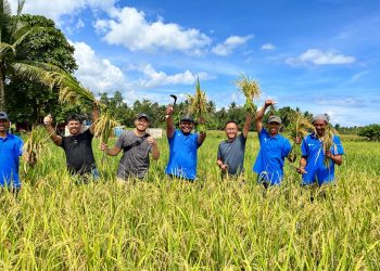 Konsistensi PT. Vale Dampingi Petani Kembangkan Program SRI Organik di Sultra