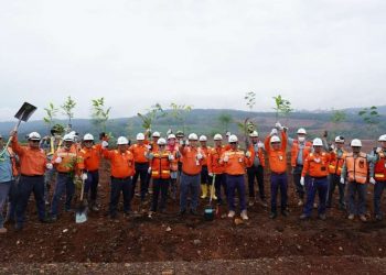 Penanaman Pohon, PT Vale Wujudkan Komitmen Peduli Pada Lingkungan