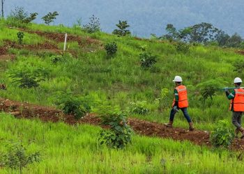 PT. Vale Siap Jalankan Divestasi Saham Lanjutan