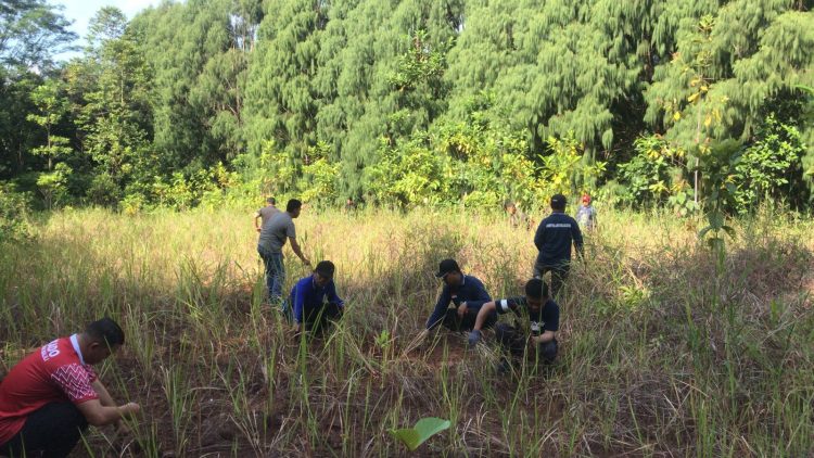 Aksi Bersih-bersih di Land Mark dan Kawasan Perkantoran Lutim Jelang Hari Lingkungan Hidup Sedunia