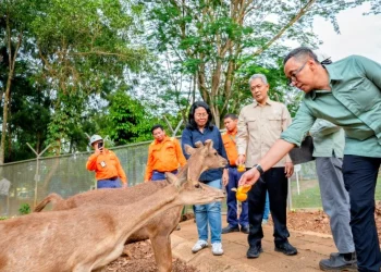 Perkuat Kepemimpinan ESG di PT Vale Indonesia melalui Kunjungan Strategis Deputi KLH untuk Tata Lingkungan dan SDA Berkelanjutan