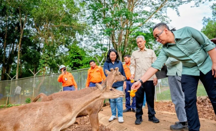 Perkuat Kepemimpinan ESG di PT Vale Indonesia melalui Kunjungan Strategis Deputi KLH untuk Tata Lingkungan dan SDA Berkelanjutan