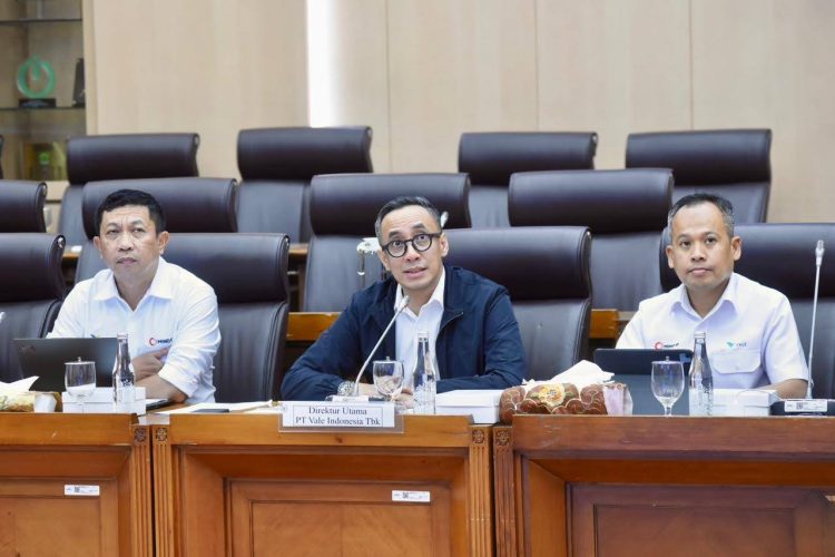Sampaikan Update Proyek dan Hilirisasi dalam RDP DPR KomisI XII, PT Vale Indonesia Jelaskan Kepatuhan dan Kepastian Operasional