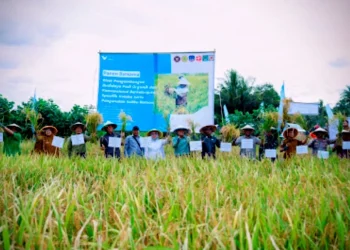 Dukung Asta Cita Presiden dan SDGs Ketahanan Pangan, PT Vale Panen Bersama Demplot Padi Berkelanjutan di Kolaka