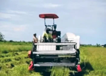 Warga Parumpanai Jadikan Alsintan Bantuan PT Vale Sebagai Sarana Andalan Sektor Pertanian