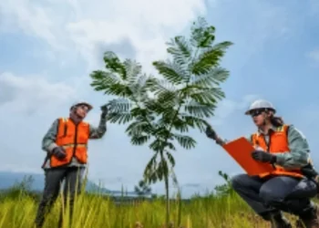 Menavigasi Tantangan, Menghadirkan Dampak: Perjalanan ESG PT Vale Menguat pada 2025
