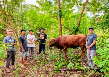 Berbagi Keberkahan Idul Adha, PT Vale Donasi Hewan Kurban ke Wilayah Pemberdayaan