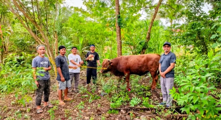 Berbagi Keberkahan Idul Adha, PT Vale Donasi Hewan Kurban ke Wilayah Pemberdayaan