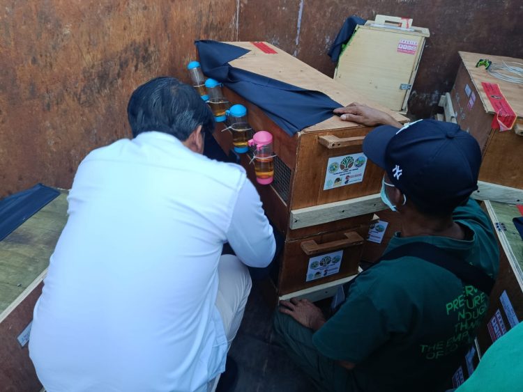 58 Satwa Sitaan dari Sulut Dipulangkan ke Maluku Utara