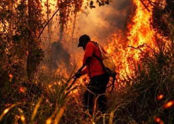 BKPSDM Bitung Rampungkan Evaluasi Kinerja PPPK Paruh Waktu