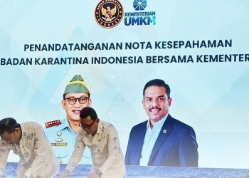 Menteri UMKM Dorong Ekspor Durian Sulawesi Tengah ke China