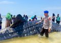 Bangkai hiu paus 9 meter terdampar di Pantai Matahora Wakatobi
