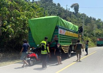 Pengendara Motor Tewas Tertabrak Truk di Trans Sulawesi Mamuju