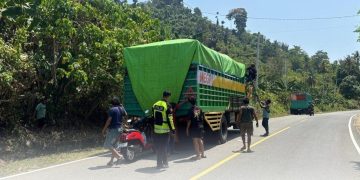 Pengendara Motor Tewas Tertabrak Truk di Trans Sulawesi Mamuju