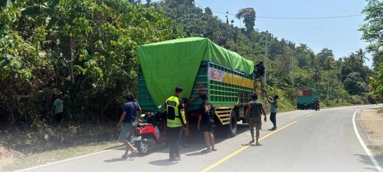 Pengendara Motor Tewas Tertabrak Truk di Trans Sulawesi Mamuju