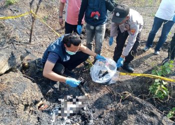 Kerangka Manusia Ditemukan di Hutan Bekas Terbakar Lamongan