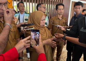 Wagub Sulteng Apresiasi Pabrik HPAL Sambalagi, Harap Jadi Contoh Industri Tambang