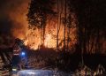 Aksi Massa Hentikan Operasional Tambang, PT Vale Tempuh Jalur Hukum di Polda Sulteng
