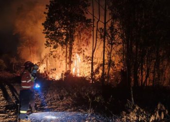 Aksi Massa Hentikan Operasional Tambang, PT Vale Tempuh Jalur Hukum di Polda Sulteng