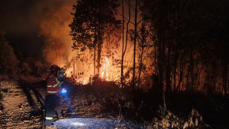 Aksi Massa Hentikan Operasional Tambang, PT Vale Tempuh Jalur Hukum di Polda Sulteng