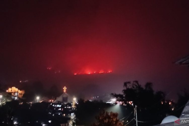 Api Masih Membara di Cagar Alam Gunung Lokon, 300 Hektare Hangus