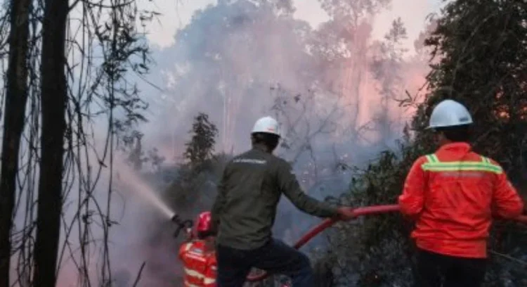 GAKKUM Tegaskan Petani Wajib Patuh Aturan Penggunaan Kawasan Hutan