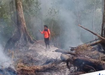 Karhutla Gunung Ranindi Sigi Lahap 60 Hektare