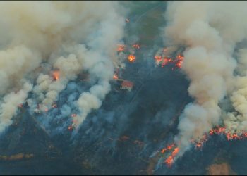 Perambahan Kawasan Hutan di Tanamalia Tembus 5.000 Hektare, Gakkum Kehutanan Kembangkan Penyidikan
