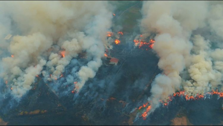 Perambahan Kawasan Hutan di Tanamalia Tembus 5.000 Hektare, Gakkum Kehutanan Kembangkan Penyidikan