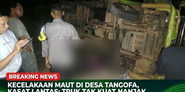 Dump truck kecelakaan di Jalan Trans Sulawesi Morowali